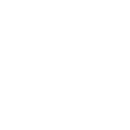 Leadership Assessment Icon