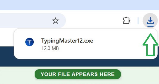 Chrome Downloads panel showing TypingMaster12.exe